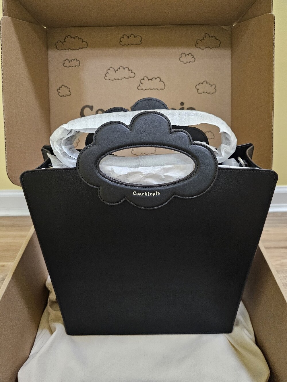 New Cloud Handle Tote in Coachtopia Leather